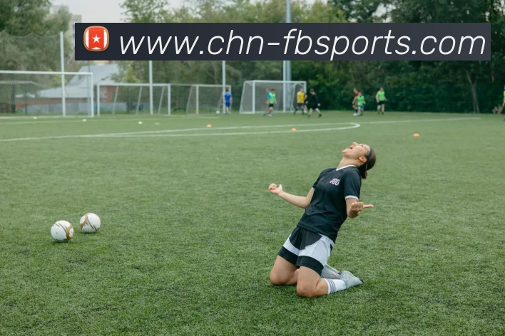 B体育平台生态图