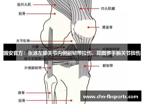 国安官方：张源左膝关节内侧副韧带拉伤，郑图罗手腕关节扭伤
