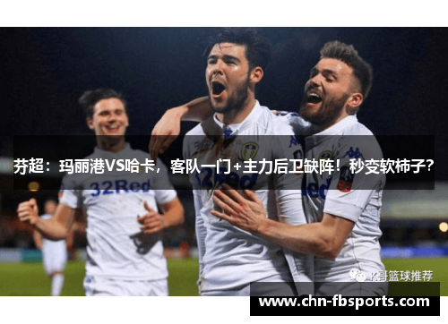 芬超：玛丽港VS哈卡，客队一门+主力后卫缺阵！秒变软柿子？